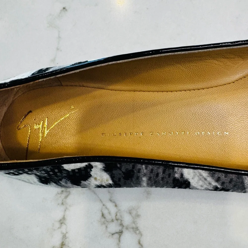 Giuseppe Zanotti giuseppe zanotti
